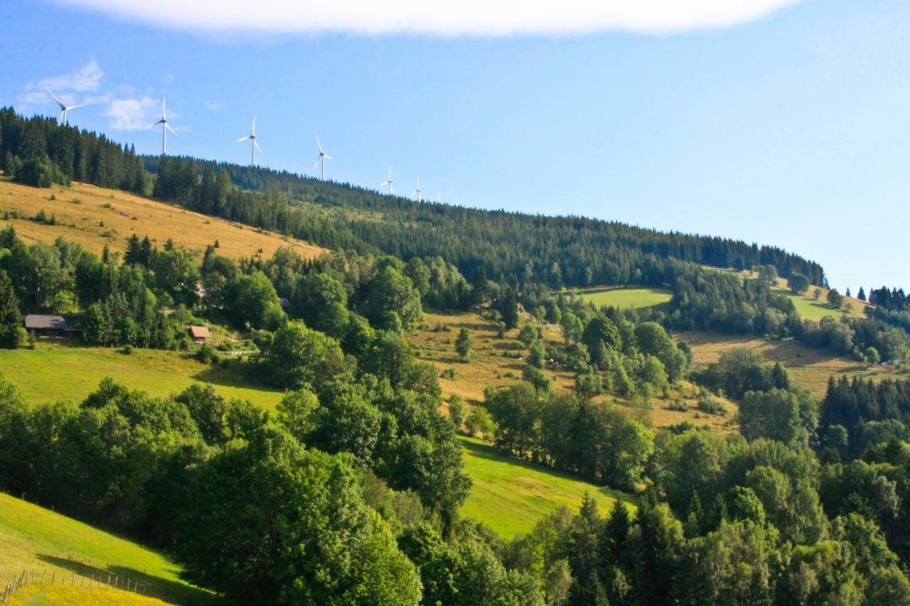 Genussgasthof Willenshofer Sankt Kathrein am Hauenstein Екстериор снимка